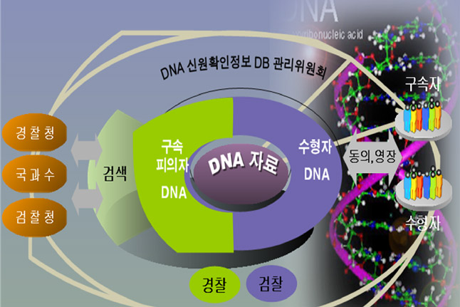 DNA